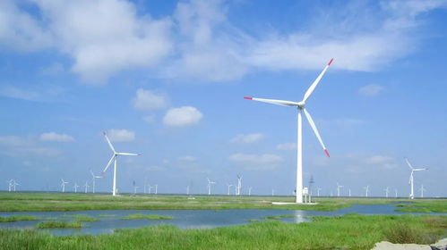 碳達峰碳中和丨葛洲壩電力 近300個新能源項目助力低碳發(fā)展